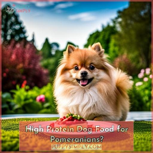 High Protein Dog Food for Pomeranians