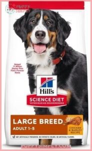 Hill's Science Diet Adult Large 141446