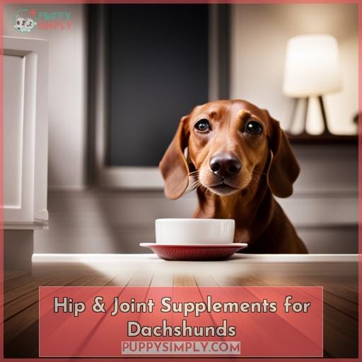 Hip & Joint Supplements for Dachshunds