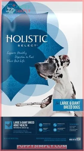 Holistic Select Large & Giant