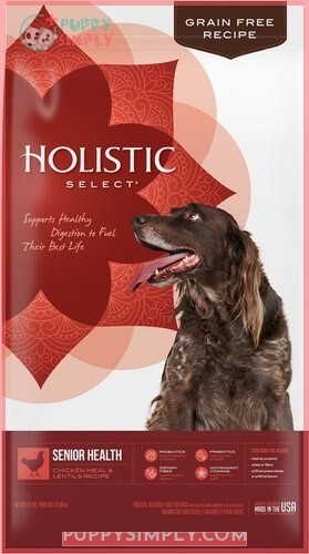Holistic Select Senior Health Chicken