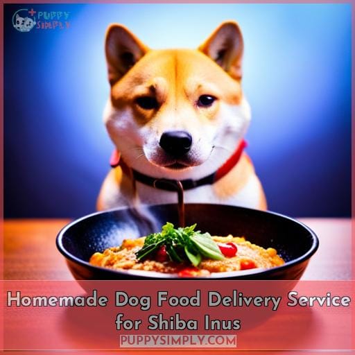 Homemade Dog Food Delivery Service for Shiba Inus