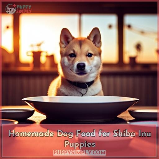 Homemade Dog Food for Shiba Inu Puppies