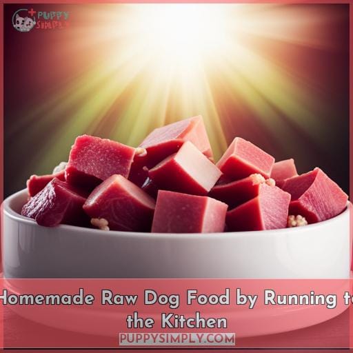 Homemade Raw Dog Food by Running to the Kitchen