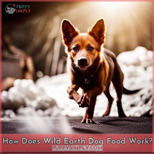 How Does Wild Earth Dog Food Work
