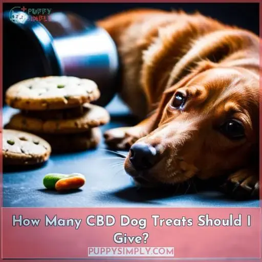 How Many CBD Dog Treats Should I Give