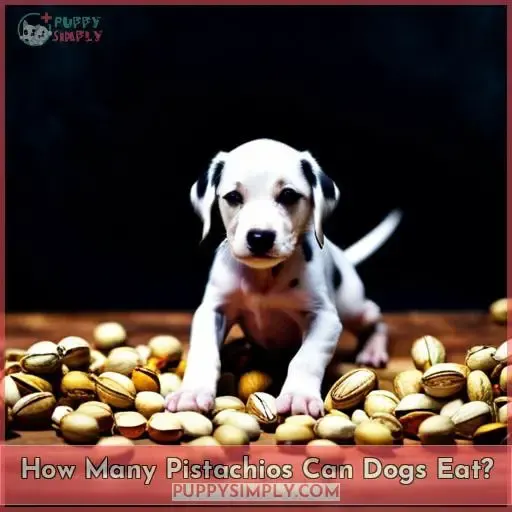How Many Pistachios Can Dogs Eat