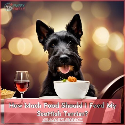 How Much Food Should I Feed My Scottish Terrier
