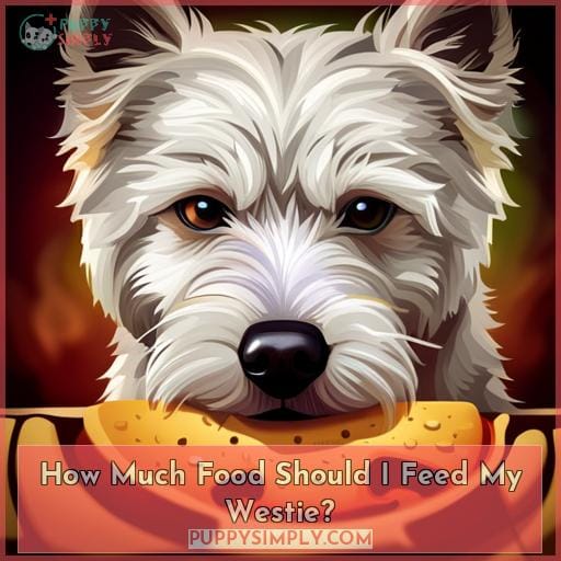 How Much Food Should I Feed My Westie
