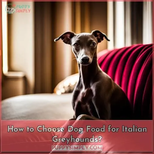 How to Choose Dog Food for Italian Greyhounds