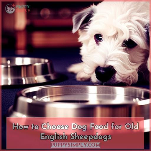 How to Choose Dog Food for Old English Sheepdogs