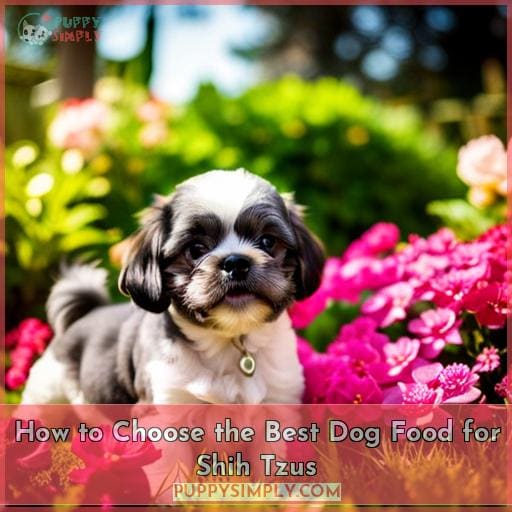 How to Choose the Best Dog Food for Shih Tzus