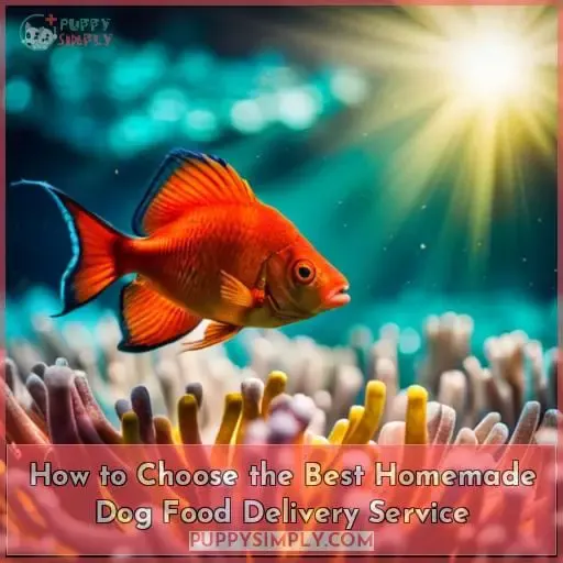 How to Choose the Best Homemade Dog Food Delivery Service