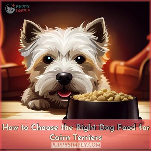 How to Choose the Right Dog Food for Cairn Terriers