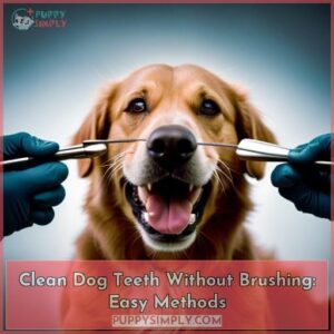 how to clean dog teeth without brushing