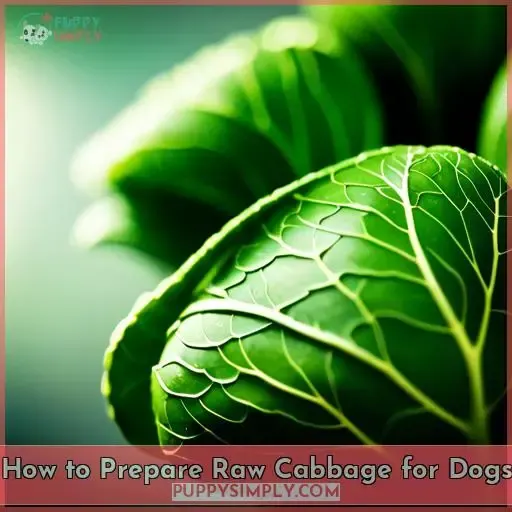 How to Prepare Raw Cabbage for Dogs