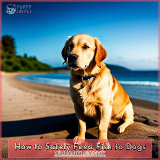 How to Safely Feed Fish to Dogs