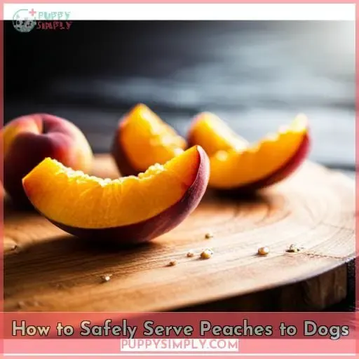 How to Safely Serve Peaches to Dogs