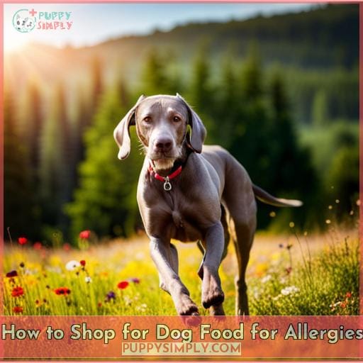 How to Shop for Dog Food for Allergies