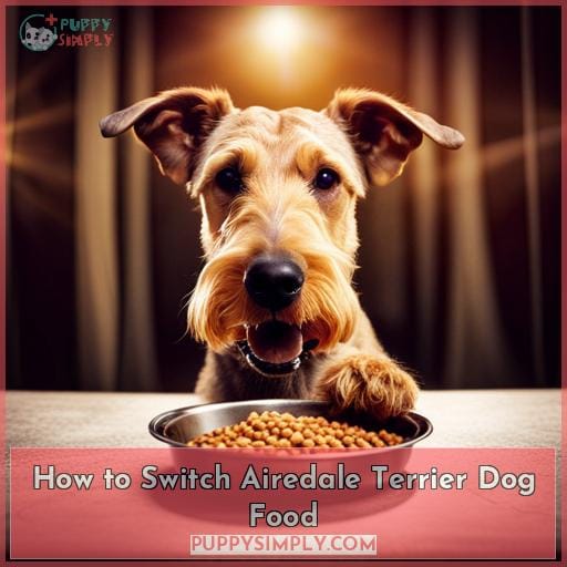How to Switch Airedale Terrier Dog Food