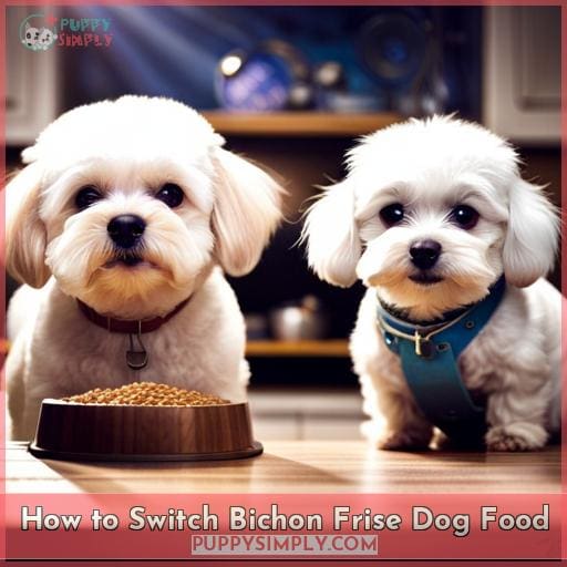 How to Switch Bichon Frise Dog Food