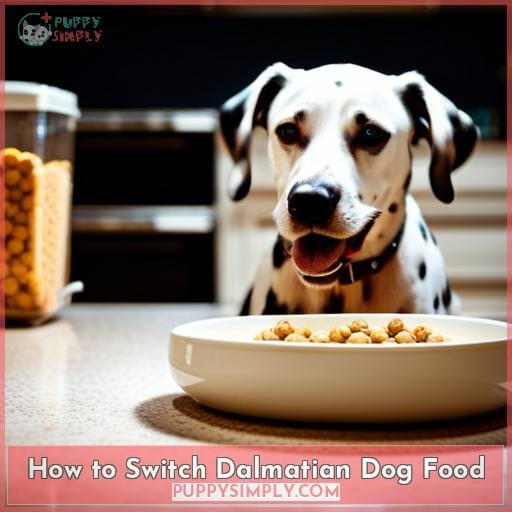 How to Switch Dalmatian Dog Food
