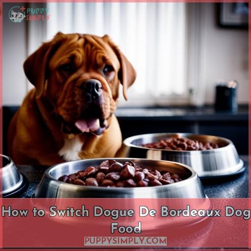 How to Switch Dogue De Bordeaux Dog Food