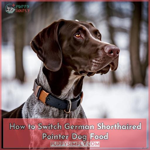 How to Switch German Shorthaired Pointer Dog Food