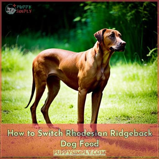 How to Switch Rhodesian Ridgeback Dog Food