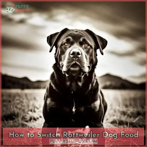How to Switch Rottweiler Dog Food
