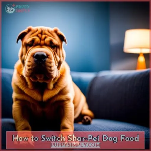 How to Switch Shar-Pei Dog Food