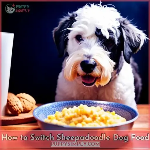 How to Switch Sheepadoodle Dog Food