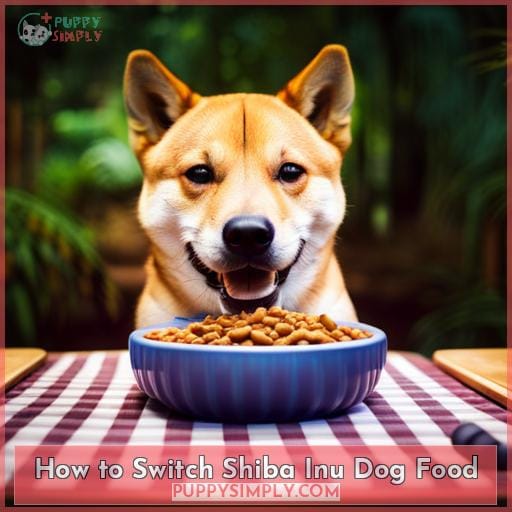How to Switch Shiba Inu Dog Food