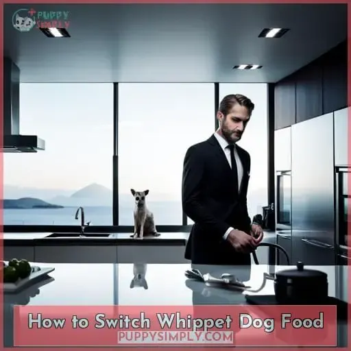 How to Switch Whippet Dog Food