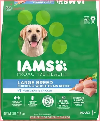 Iams Proactive Health Large Breed