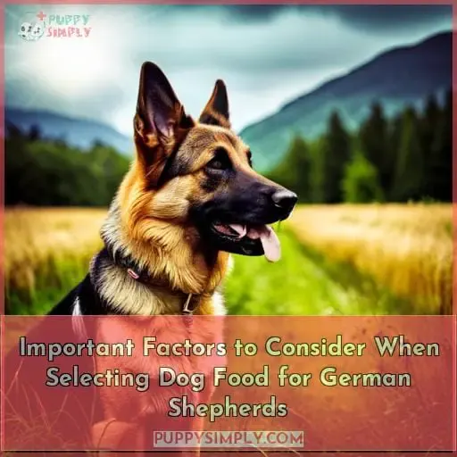 Important Factors to Consider When Selecting Dog Food for German Shepherds
