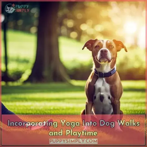 Incorporating Yoga Into Dog Walks and Playtime