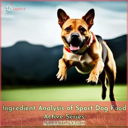 Ingredient Analysis of Sport Dog Food Active Series