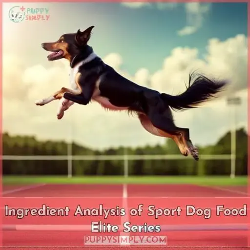 Ingredient Analysis of Sport Dog Food Elite Series