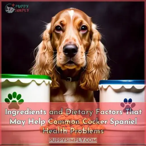 Ingredients and Dietary Factors That May Help Common Cocker Spaniel Health Problems