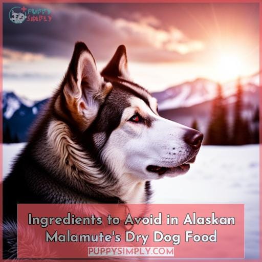 Ingredients to Avoid in Alaskan Malamute