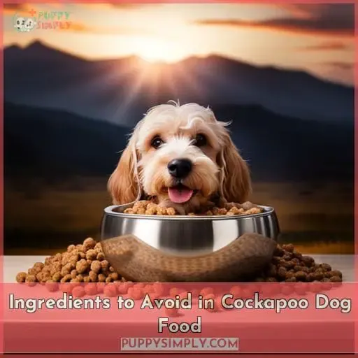 Ingredients to Avoid in Cockapoo Dog Food
