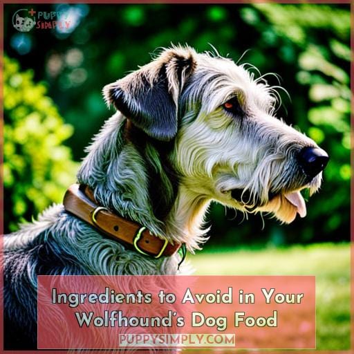 Ingredients to Avoid in Your Wolfhound’s Dog Food
