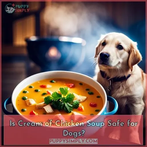 Is Cream of Chicken Soup Safe for Dogs