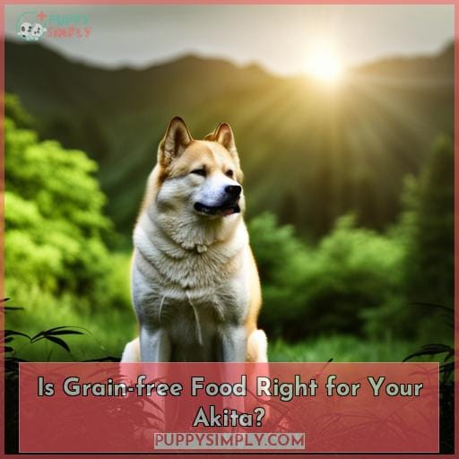 Is Grain-free Food Right for Your Akita