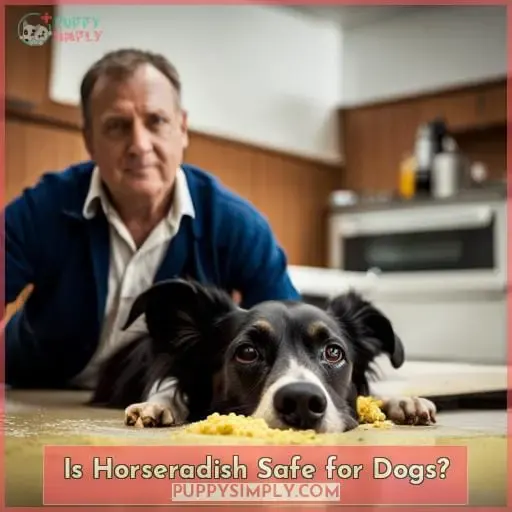 Is Horseradish Safe for Dogs
