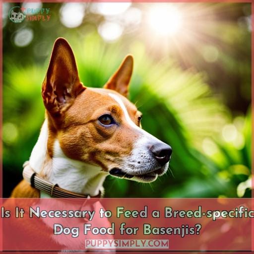 Is It Necessary to Feed a Breed-specific Dog Food for Basenjis