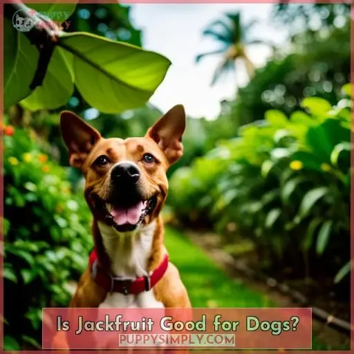 Is Jackfruit Good for Dogs