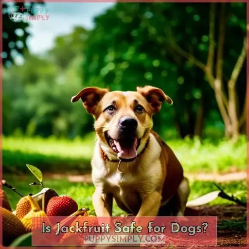 Is Jackfruit Safe for Dogs
