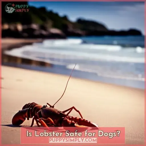 Is Lobster Safe for Dogs